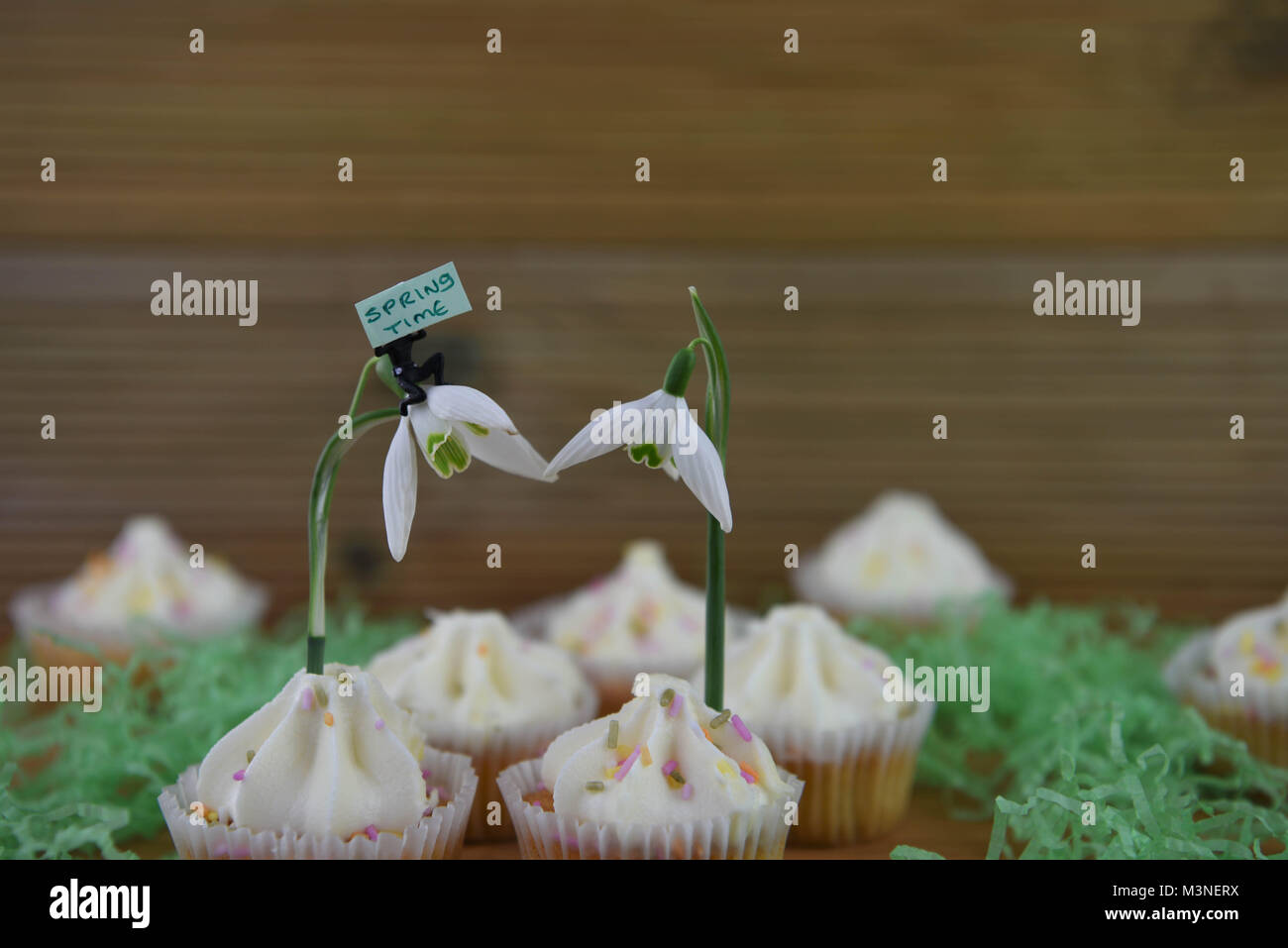 Perce-neige fraîche de printemps sur cupcakes avec jolies personne du prince avec un panneau pour Bonjour printemps Banque D'Images