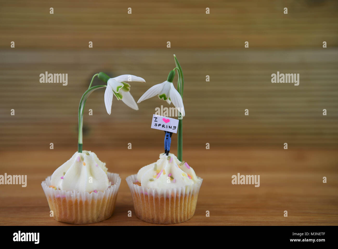 Perce-neige fraîche de printemps sur cupcakes avec jolies personne du prince avec un panneau pour Bonjour printemps Banque D'Images