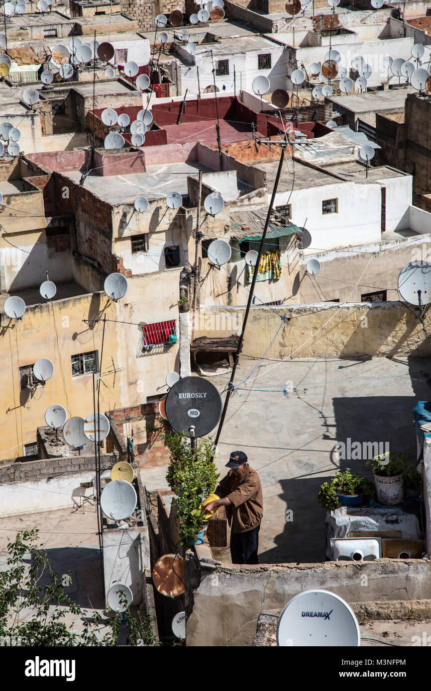 La vie sur le toit à Fez Maroc old man watering plants Banque D'Images