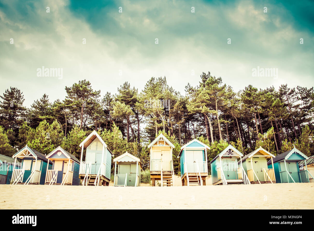 Cabines colorées sous le couvert d'une ligne d'arbres sur la plage de sable de Wells Next The Sea à Norfolk, au Royaume-Uni. Banque D'Images