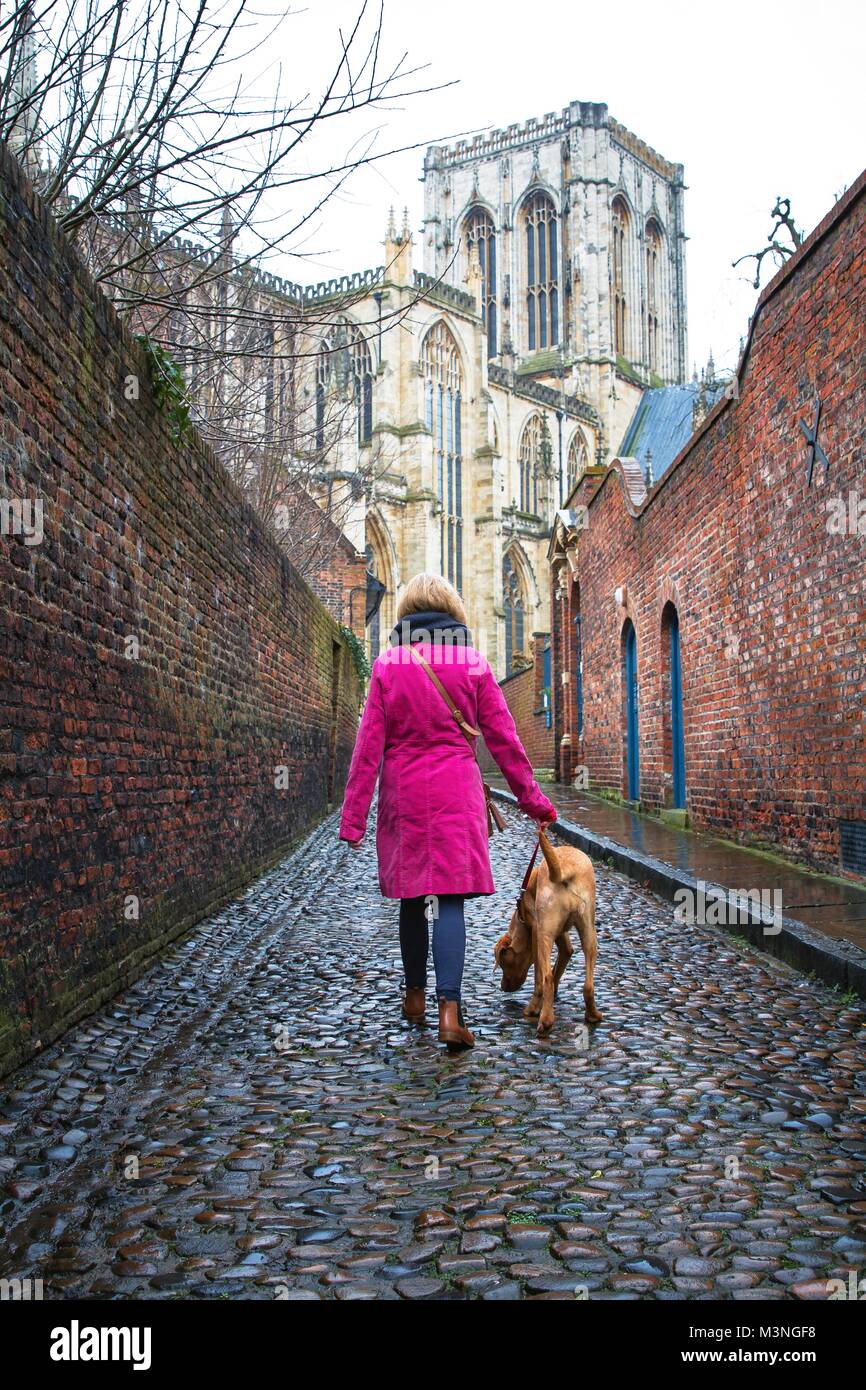 Une vue arrière d'une fille à la mode dans un manteau d'hiver marche à travers la ville de New York avec son chien de compagnie. Banque D'Images