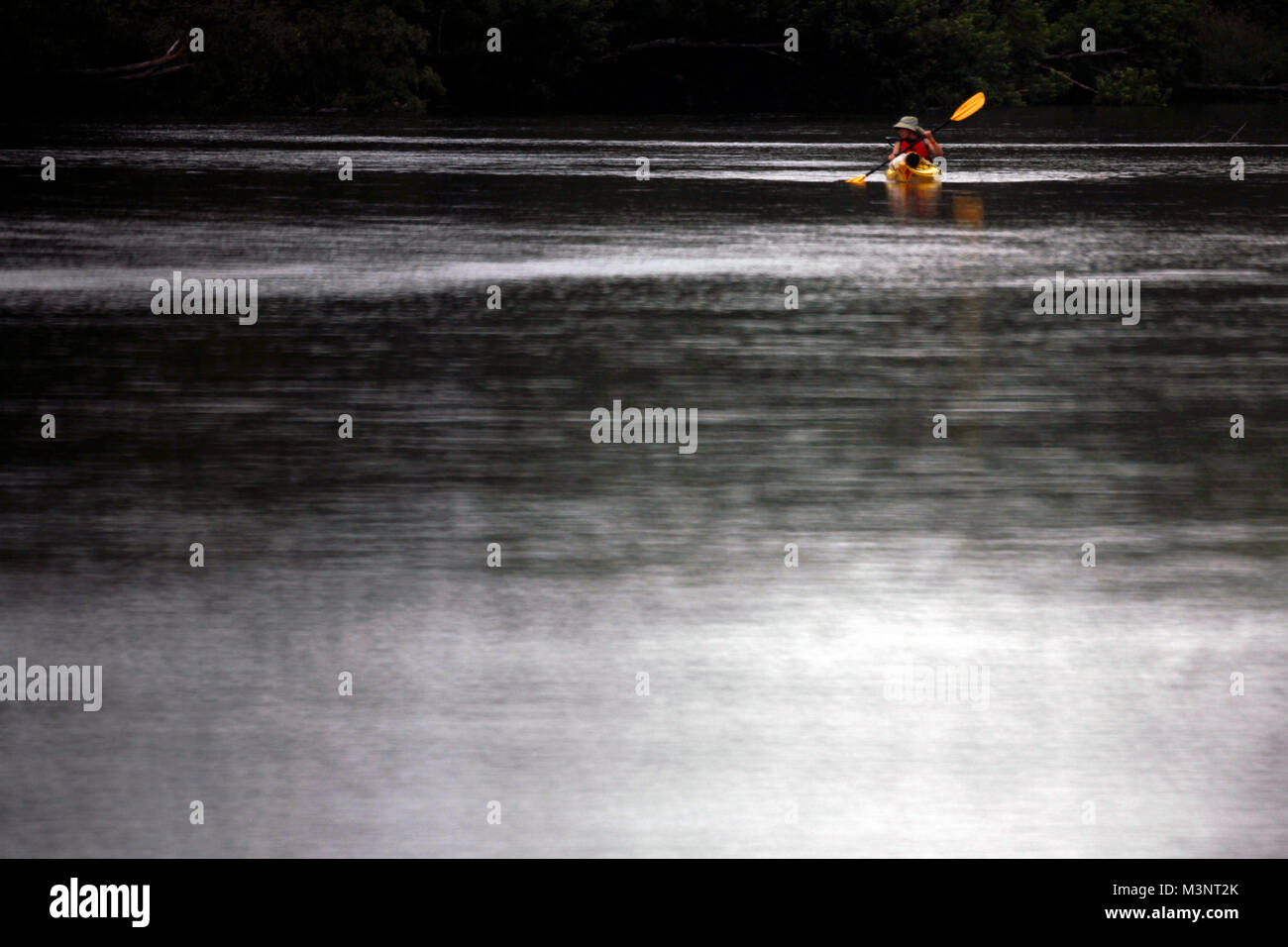 Un kayakiste sur la rivière Sainte-Croix dans le Wisconsin, entre Riverside Landing et Danbury. Banque D'Images