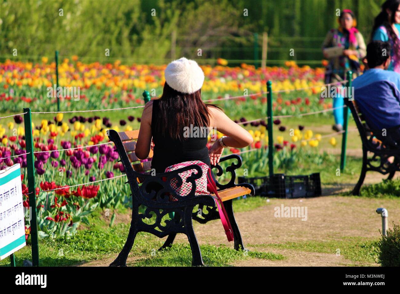 Femme assise sur un banc de Indira Gandhi Memorial Tulip Garden, au Cachemire, en Inde, en Asie Banque D'Images