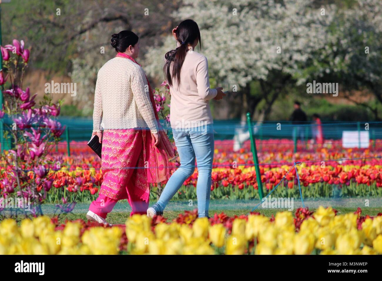 Les touristes à Indira Gandhi Memorial Tulip Garden, au Cachemire, en Inde, en Asie Banque D'Images