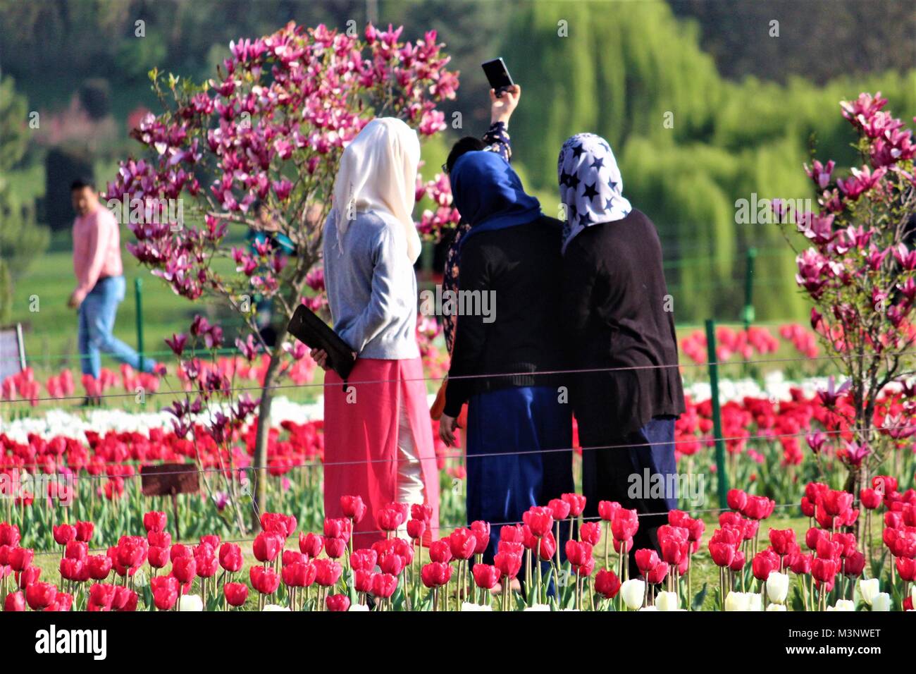 Les femmes prenant en selfies Indira Gandhi Memorial Tulip Garden, au Cachemire, en Inde, en Asie Banque D'Images
