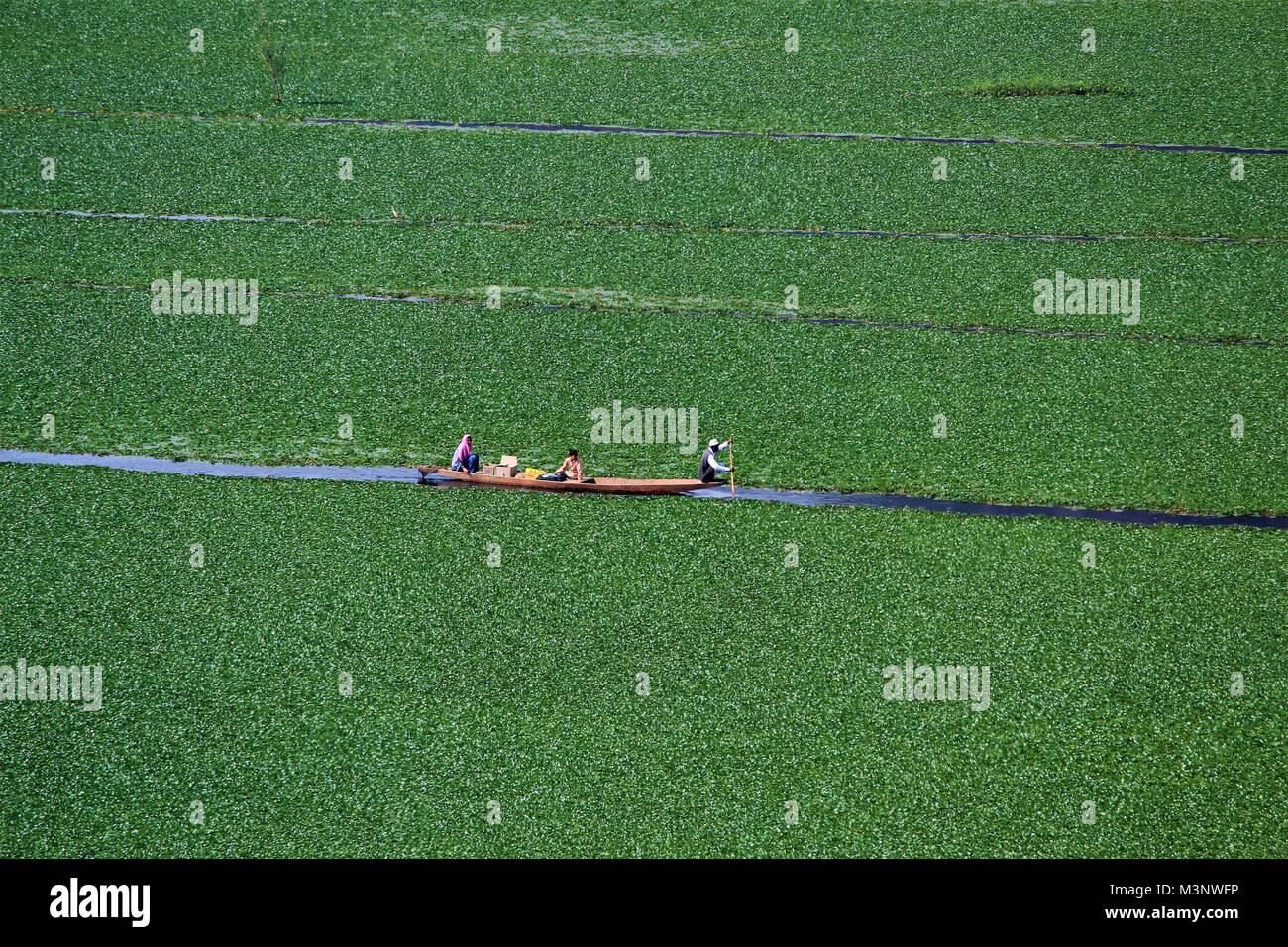 Cachemiris en bateau, dal lake, à Srinagar, au Cachemire, en Inde, en Asie Banque D'Images