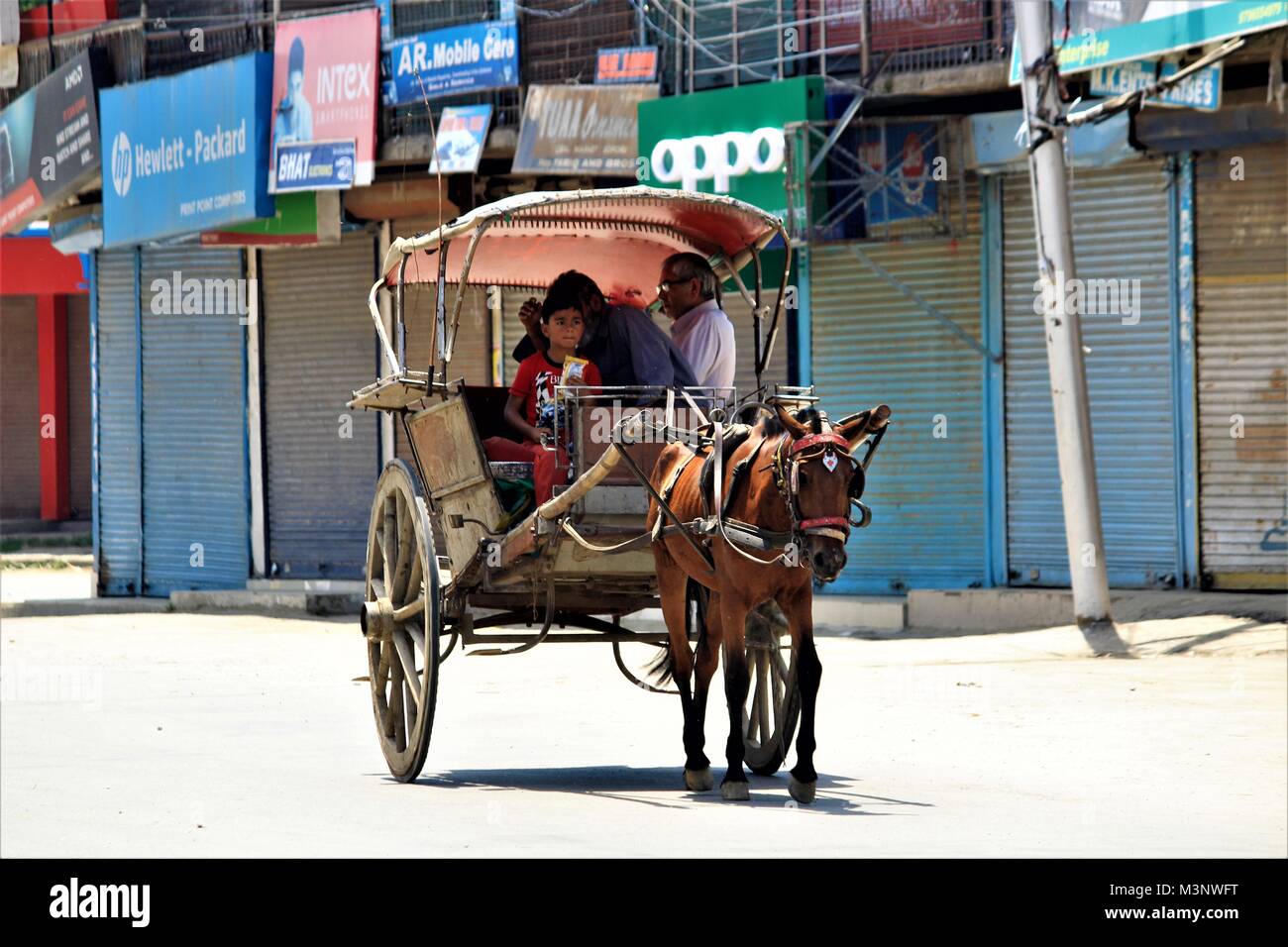 Les gens dans l'panier, à Srinagar, au Cachemire, en Inde, en Asie Banque D'Images