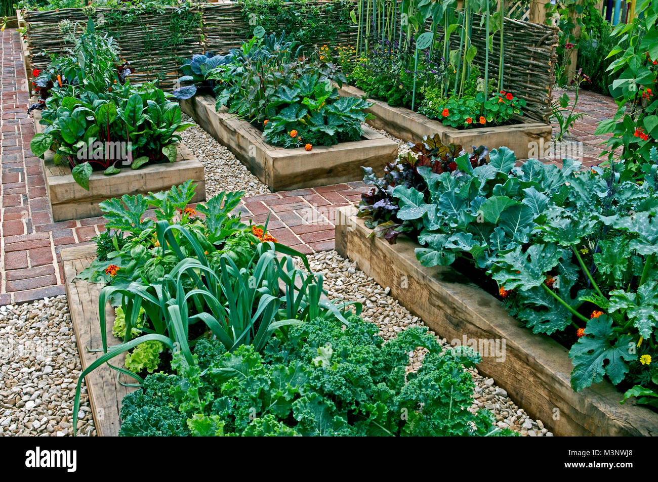 Jardin de légumes comestibles plantées dans des contenants literie soulevé Banque D'Images