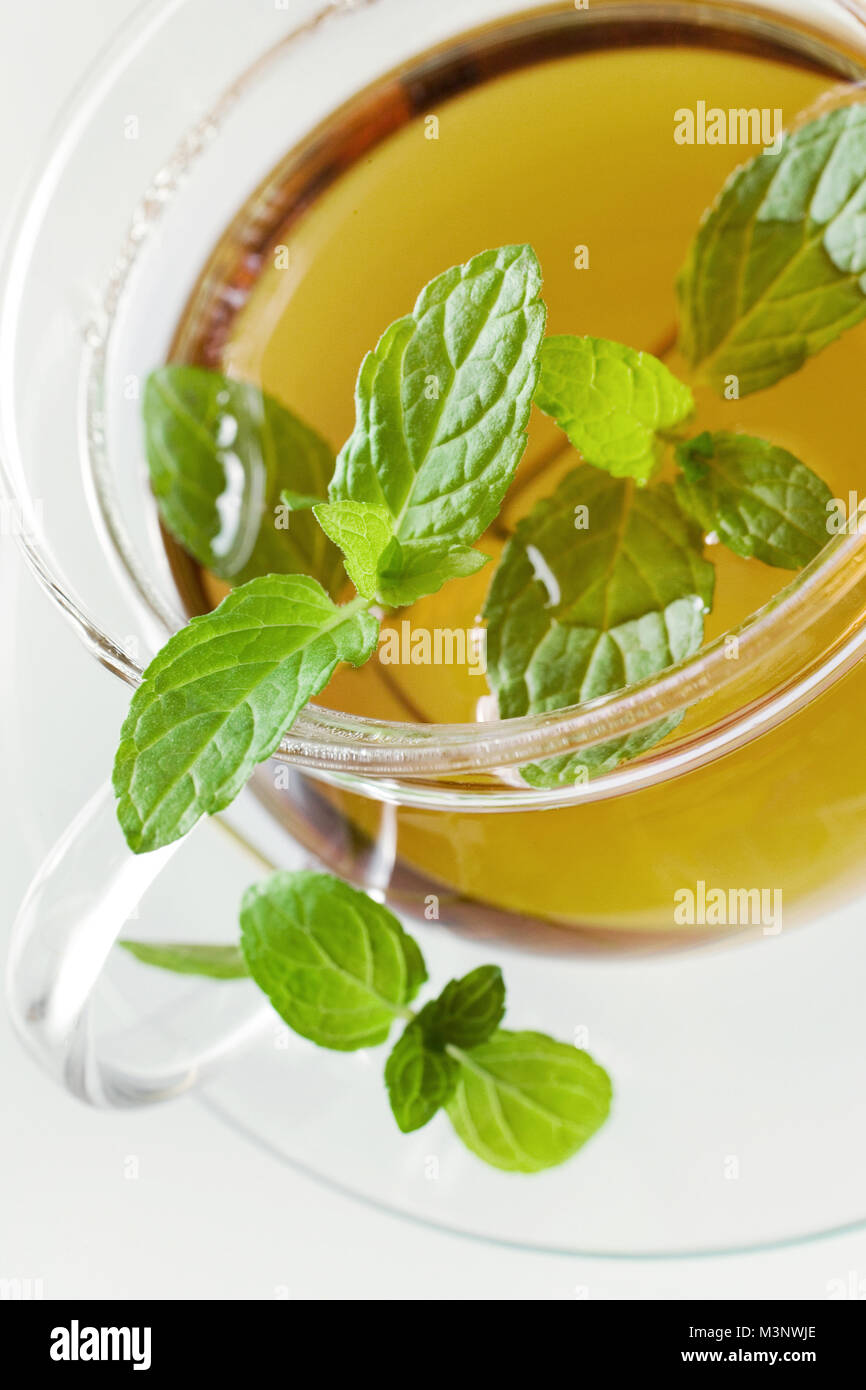 Thé dans la tasse en verre avec du citron et feuilles de menthe fraîche - guérison à base de thé comme remède fait maison Banque D'Images