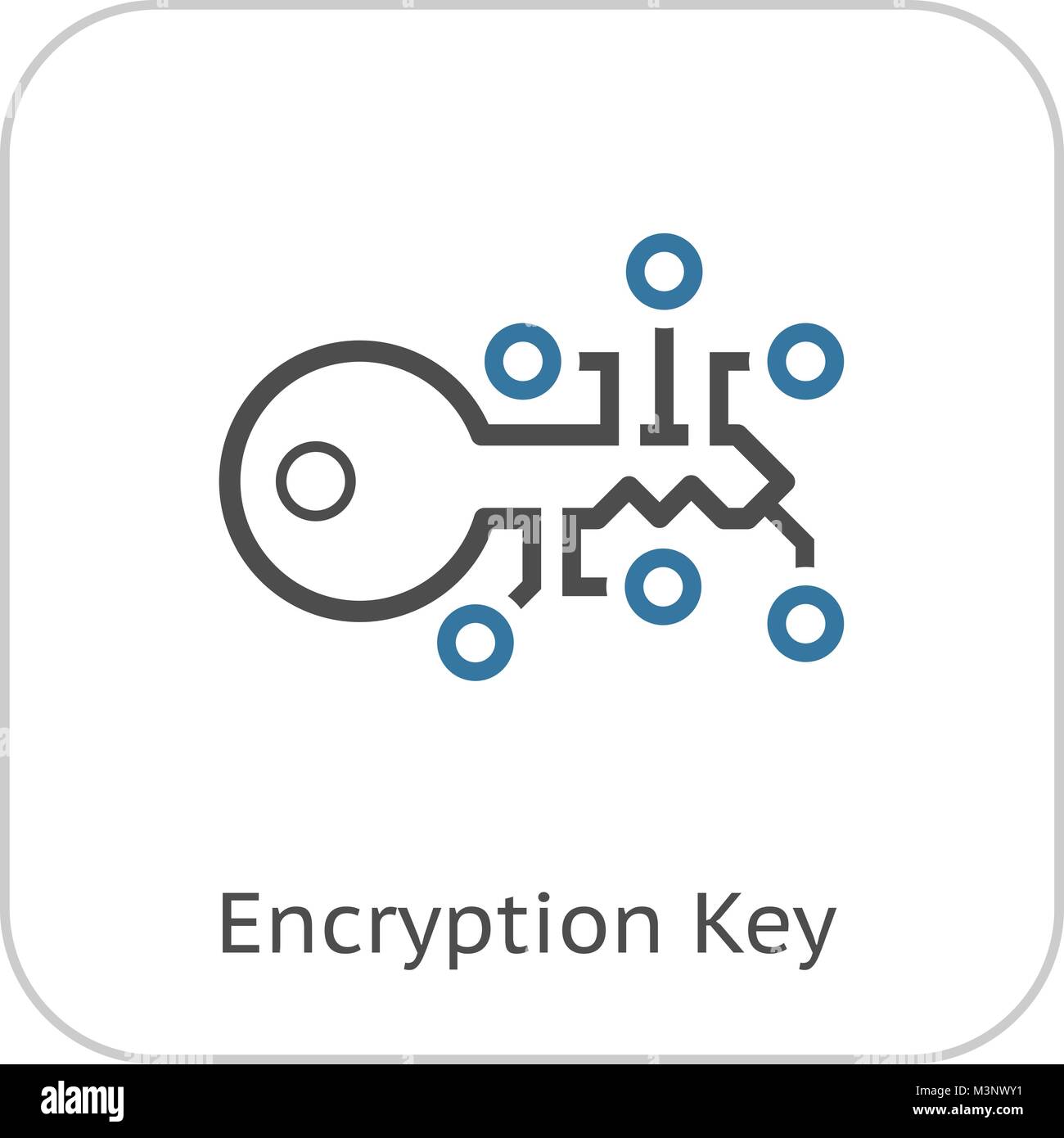 L'icône de la clé de cryptage. Illustration de Vecteur