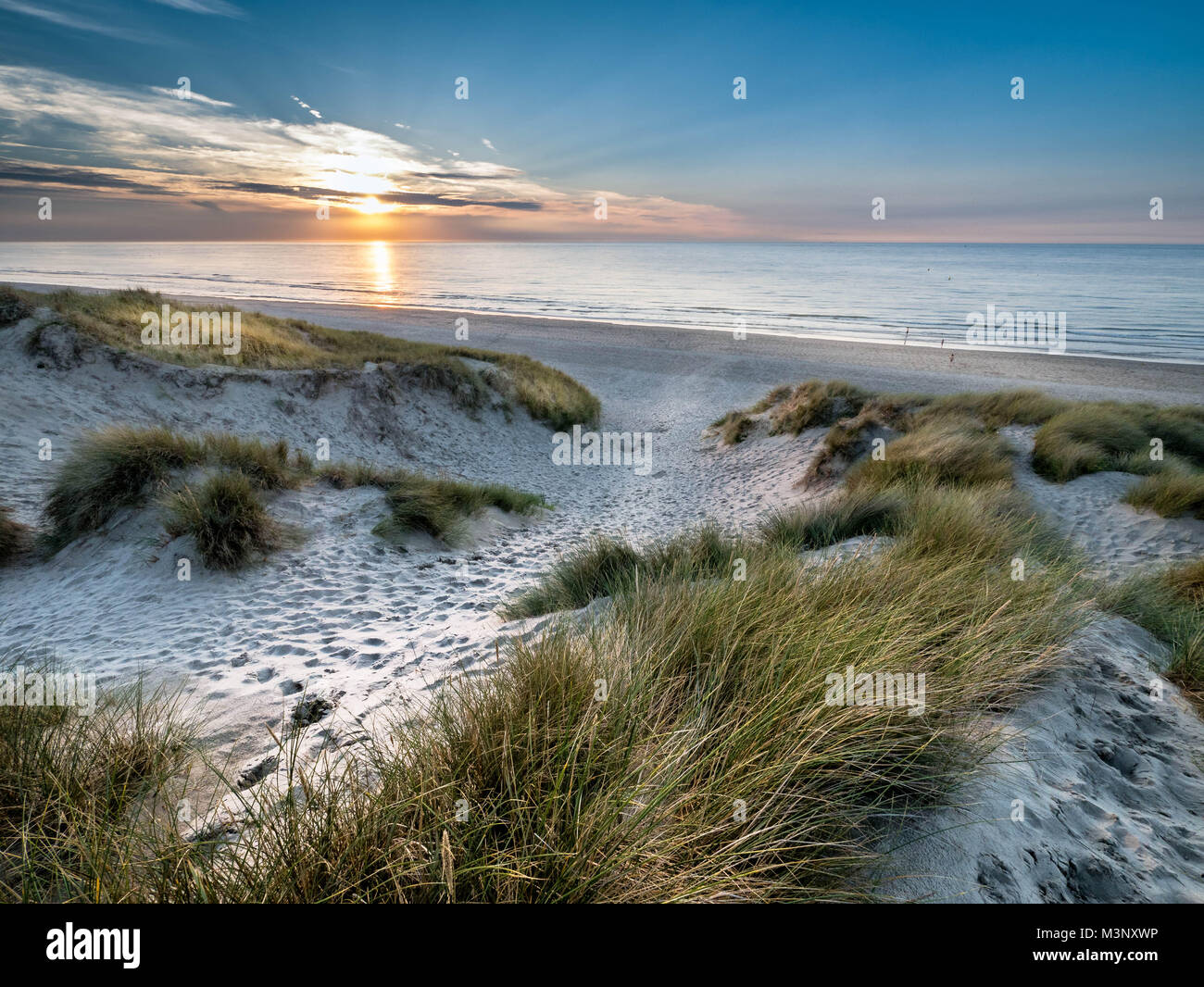 Dunes, l'herbe et la mer au coucher du soleil Banque D'Images