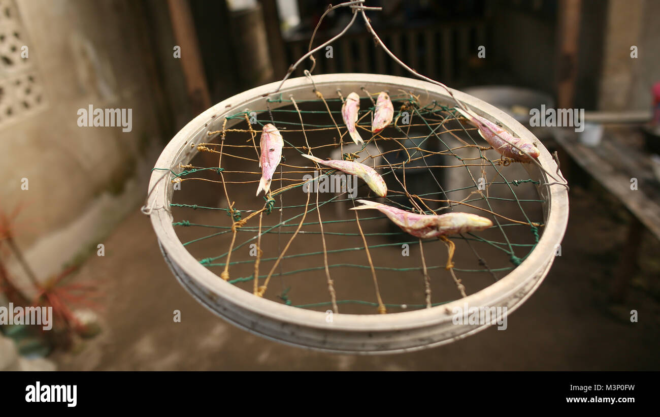 Le poisson est séché dans les rues du village des Philippines. Banque D'Images