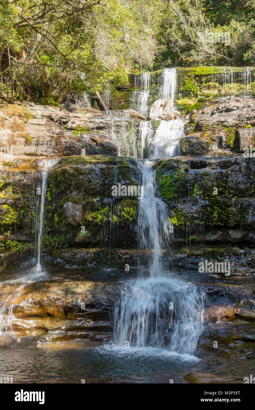 Cascades, Chutes Liffey inférieur, Tasmanie, Australie Banque D'Images