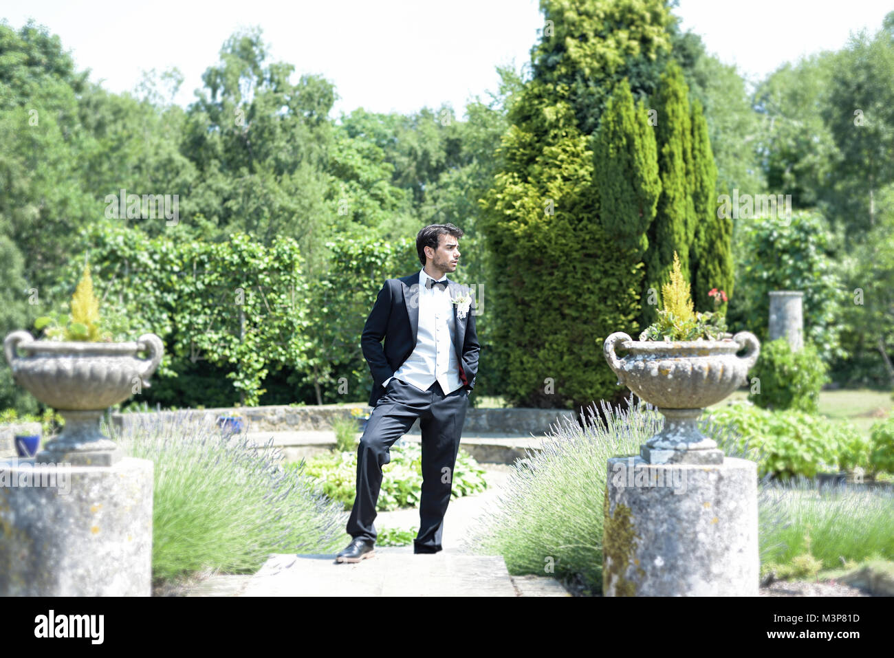 Portrait d'un beau jeune homme aux cheveux noirs en habit de noces sur une journée ensoleillée, il a l'air confiant et heureux Banque D'Images