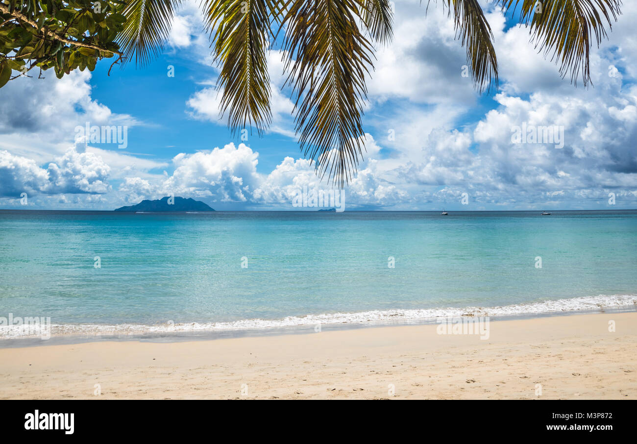 Plage de l'île tropicale. Arrière-plan de vacances idéal. Banque D'Images