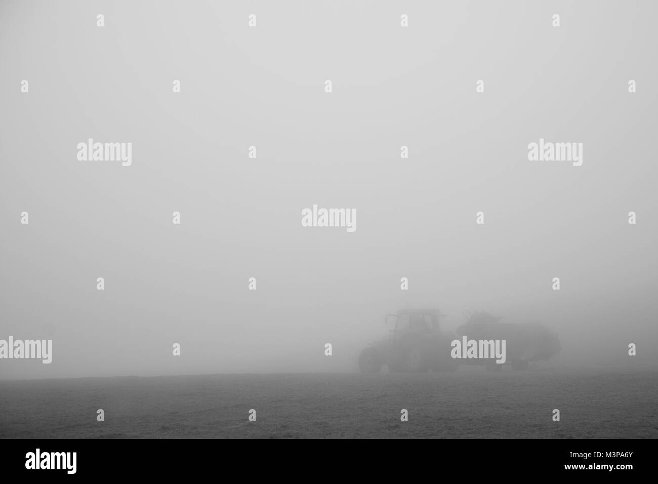 Un agriculteur nourrit leurs moutons dans les profondeurs d'un brouillard d'hiver Banque D'Images