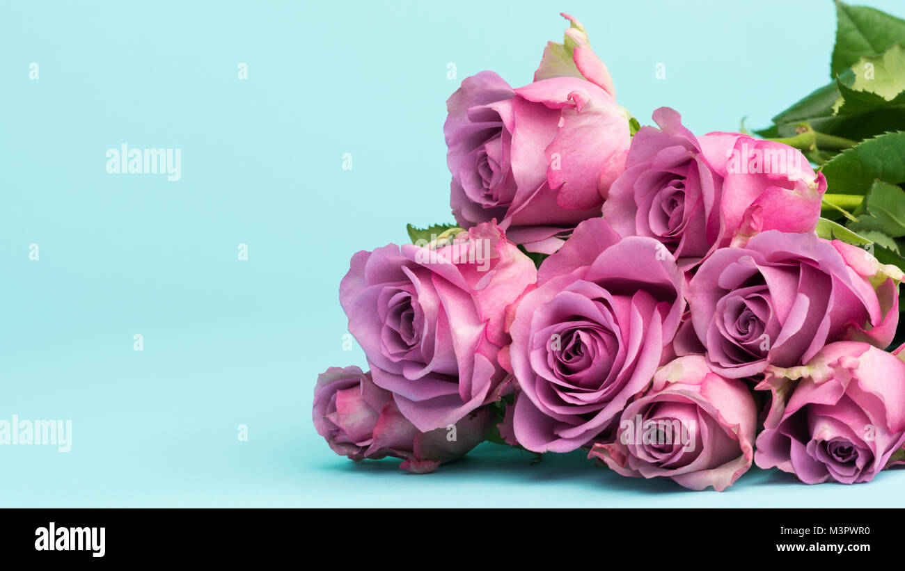 Happy Mother S Day Journee De La Femme La Saint Valentin Ou Un Anniversaire Historique Carte De Souhaits Avec De Belles Roses Roses Fraiches Et Copiez L Espace Photo Stock Alamy