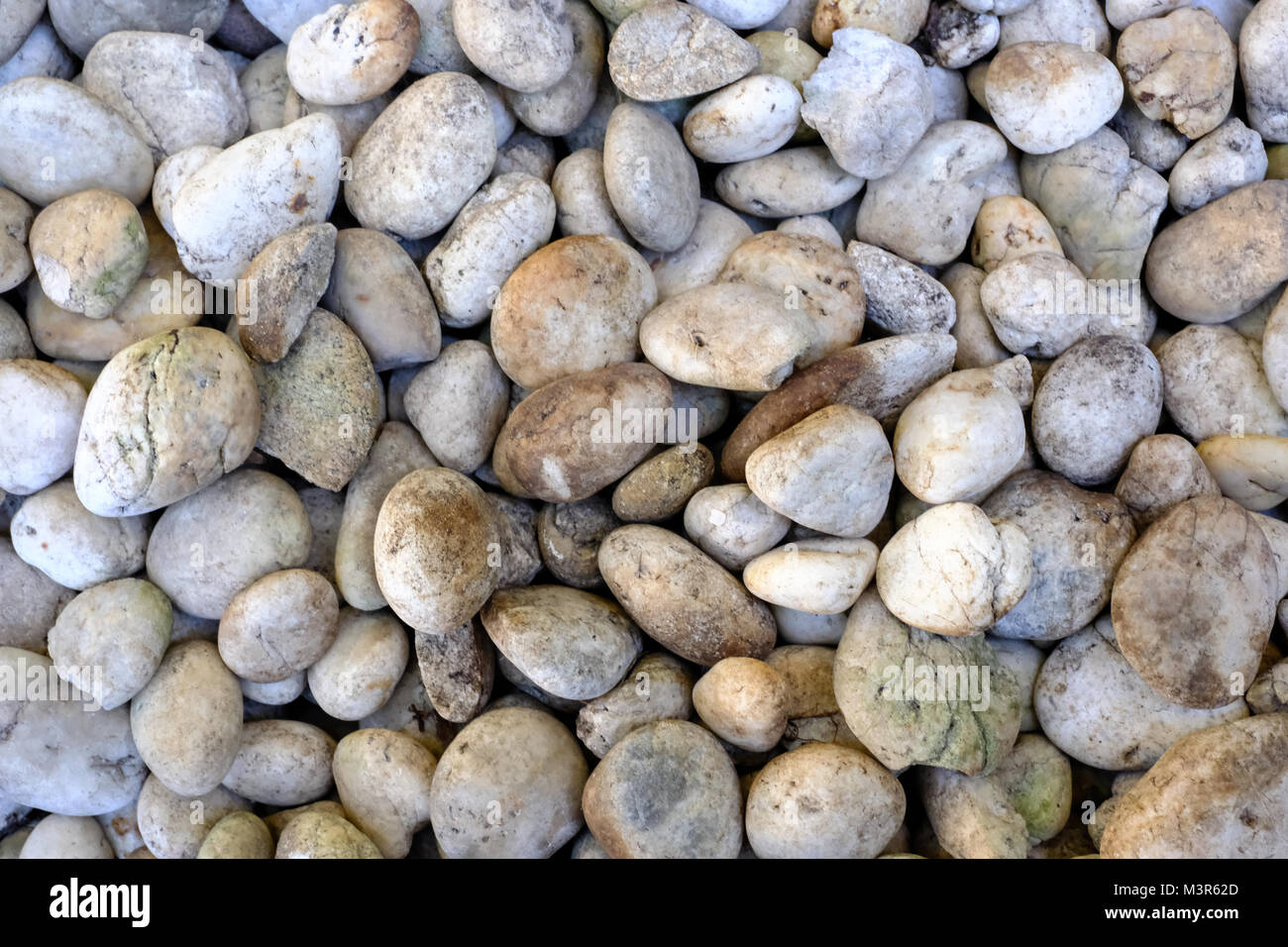 Extrait naturel ronde lisse pebbles sea texture background Banque D'Images