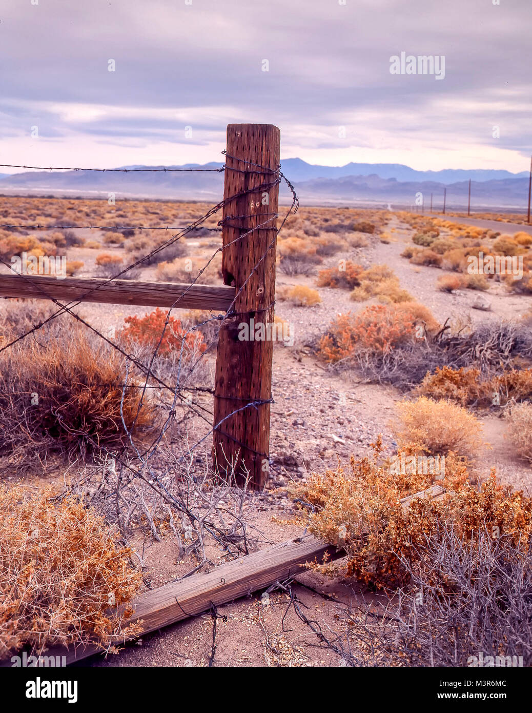 Amargosa Valley paysage aride, Nevada, United States of America Banque D'Images