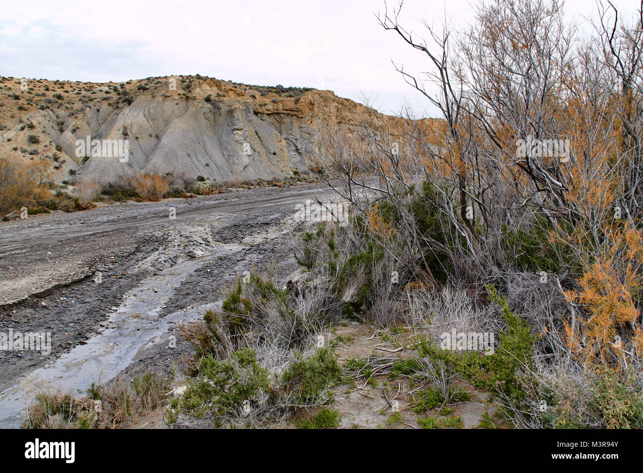 De l'eau dans le désert. Désert de Tabernas, Andalousie, Espagne Banque D'Images