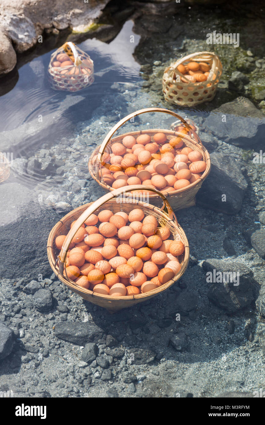 De grands paniers de nombreux oeufs bouillis dans de l'eau minérale chaude claire étang de hot spring. Banque D'Images