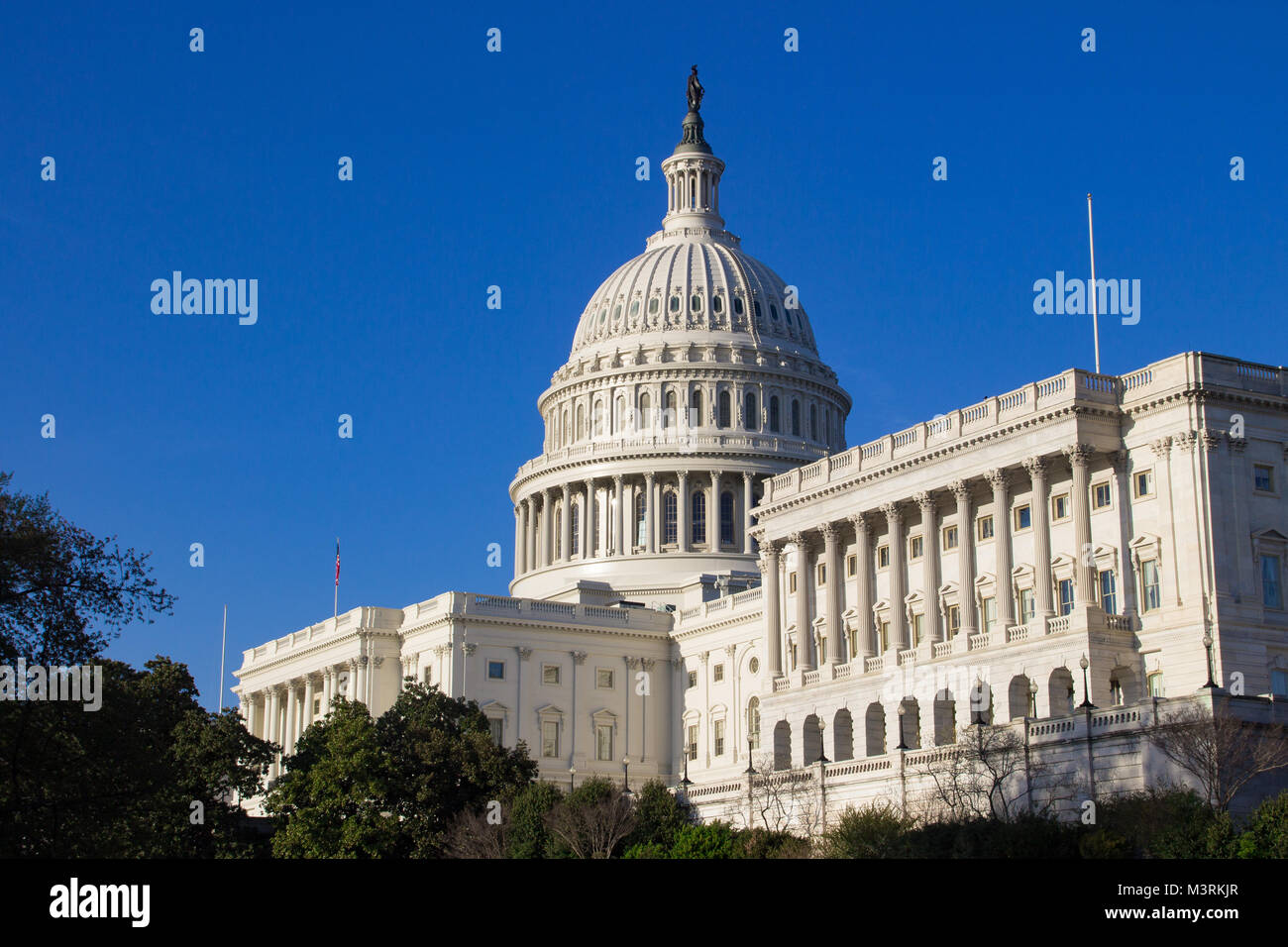 US Capitol Building, Washington D.C. Banque D'Images