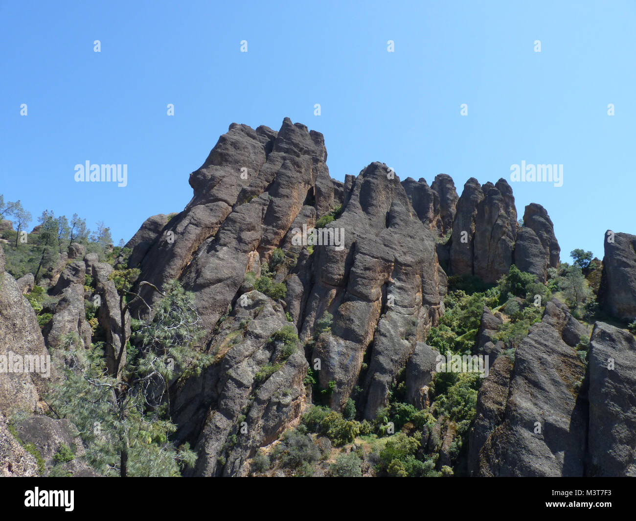 Pinnacles National Park, Californie Banque D'Images