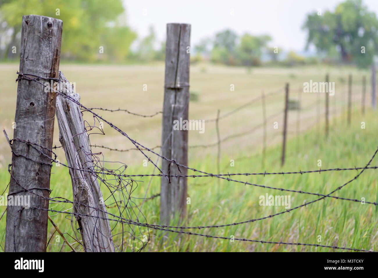 Old barbed clearance wire