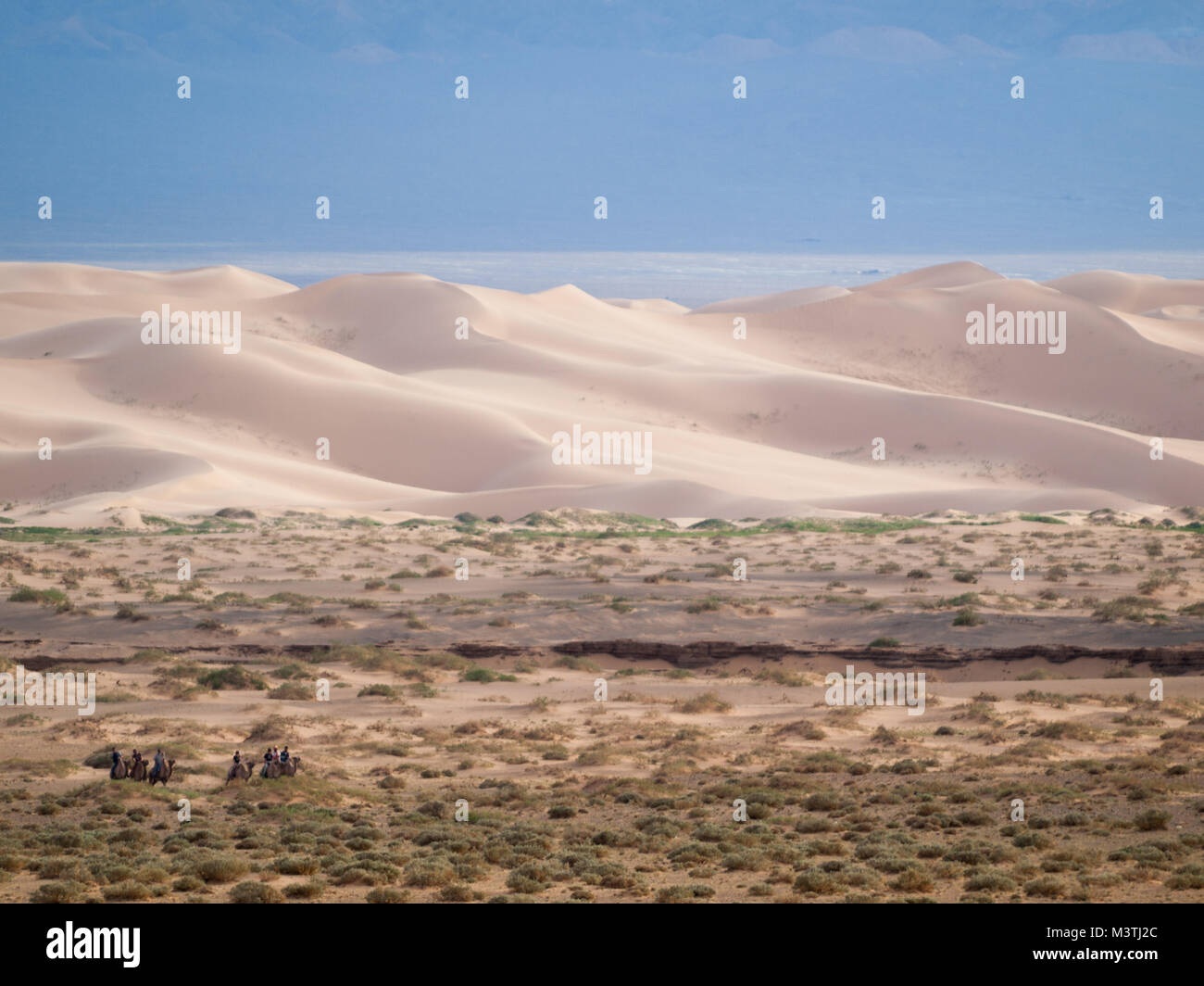 Paysage de dunes de sable de Khongoryn Els, désert de Gobi Banque D'Images