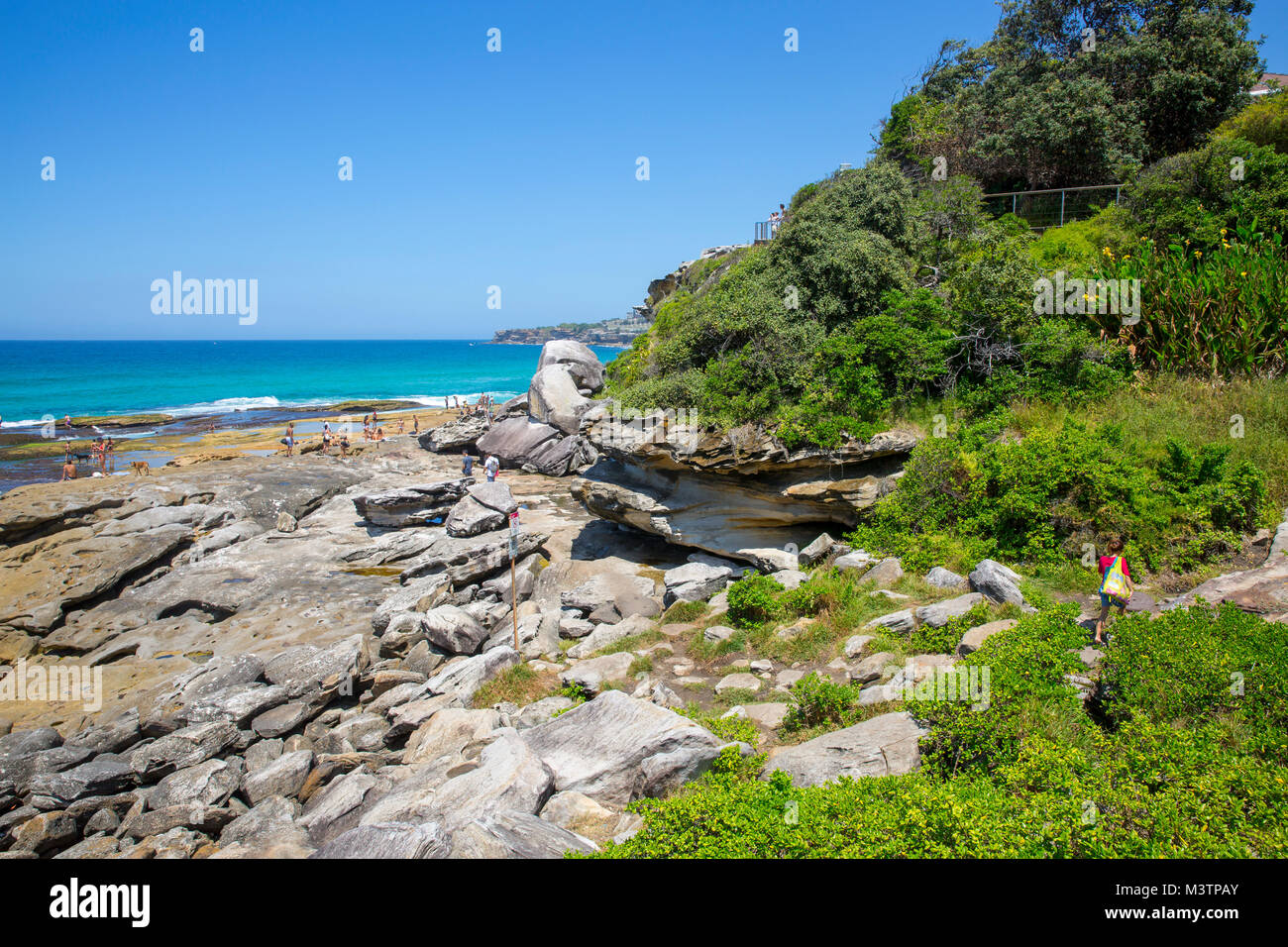 Dans la baie de Mackenzies à Tamarama sud vers Bronte beach à Sydney, Australie Banque D'Images