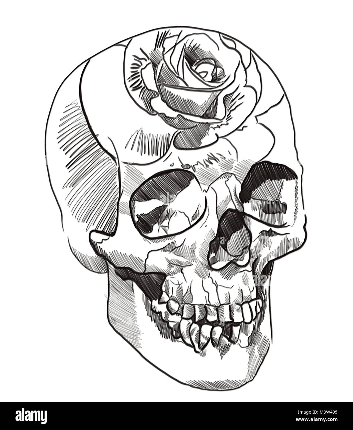 L'art du tatouage crâne Banque D'Images