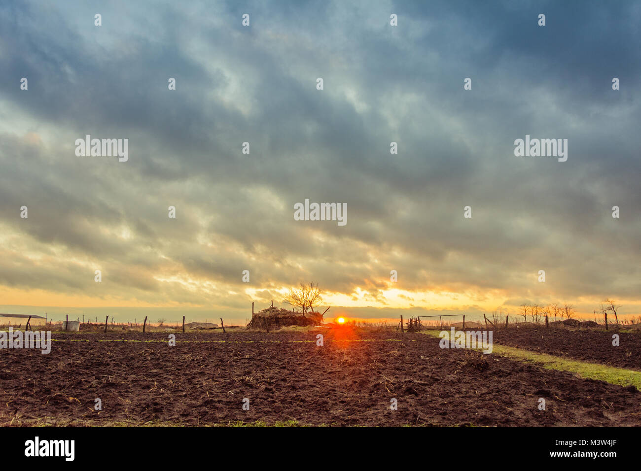 Coucher du soleil, hiver paysage rural. De soleil colorés sur la parcelle en Ukraine. Banque D'Images