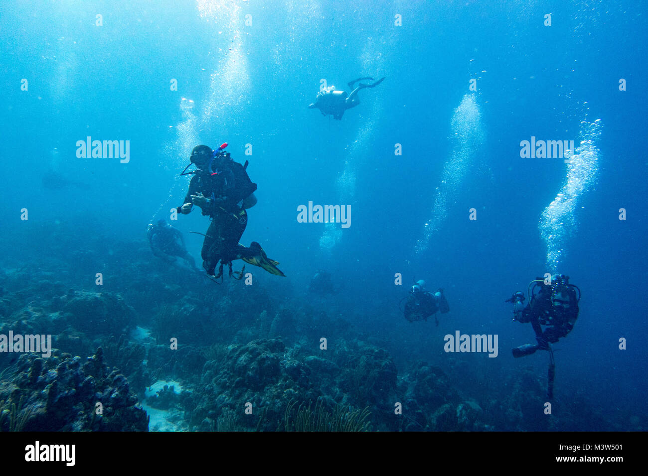 Diver équipe travaille sur un récif de nettoyage par les ordures, anchor, pièces en plastique etc. C'est un travail essentiel pour le maintien de la santé des récifs et continuer à profiter de Banque D'Images