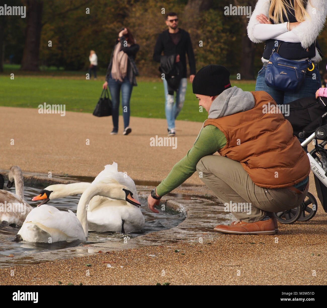Nourrir les oiseaux, cygnes, oies, pigeons et les sternes à Kensington Gardens, Londres bassin rond Banque D'Images