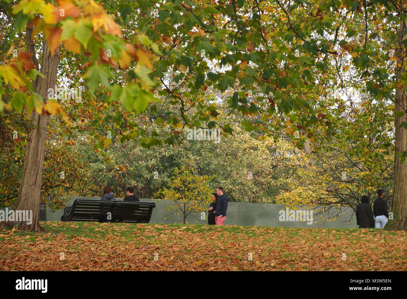 Couples walking et assis dans Hyde Park, Londres sous entouré par les arbres aux couleurs de l'automne Banque D'Images
