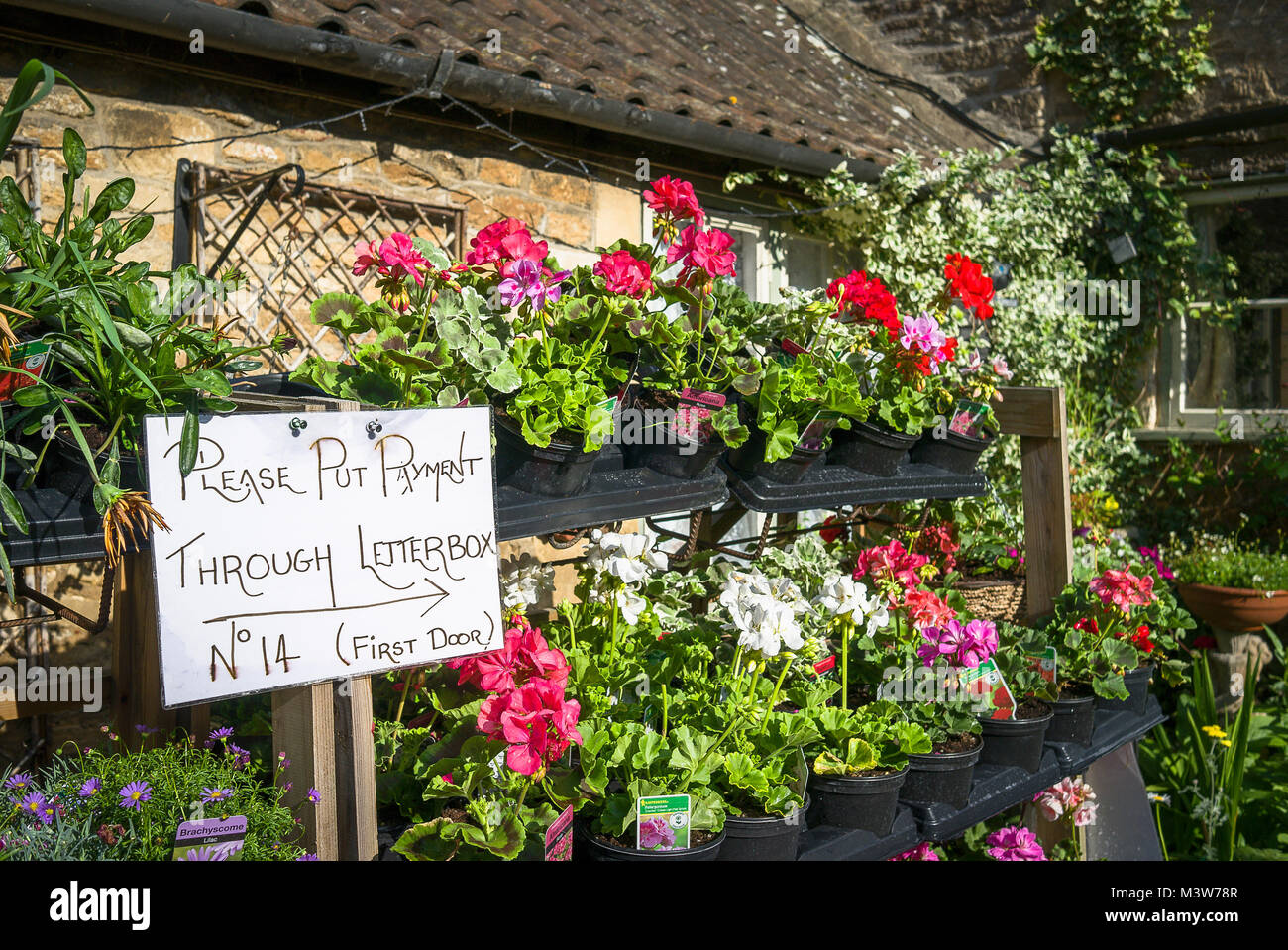 Vente de plantes Cottage dans Wiltshire England UK Lacock Banque D'Images