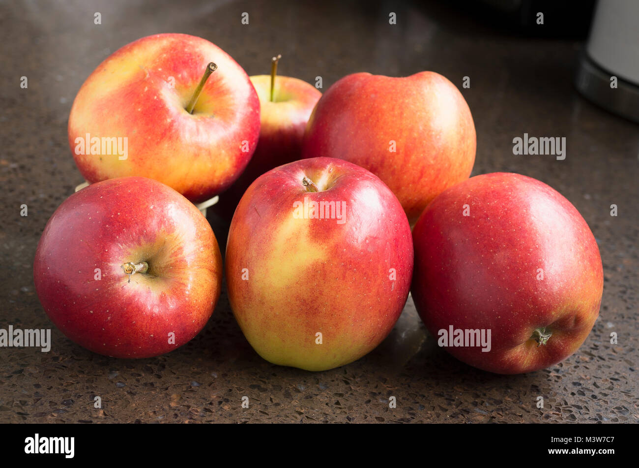 Les pommes jazz sont nettes et manger des pommes juteuses dans un hiver Anglais Banque D'Images