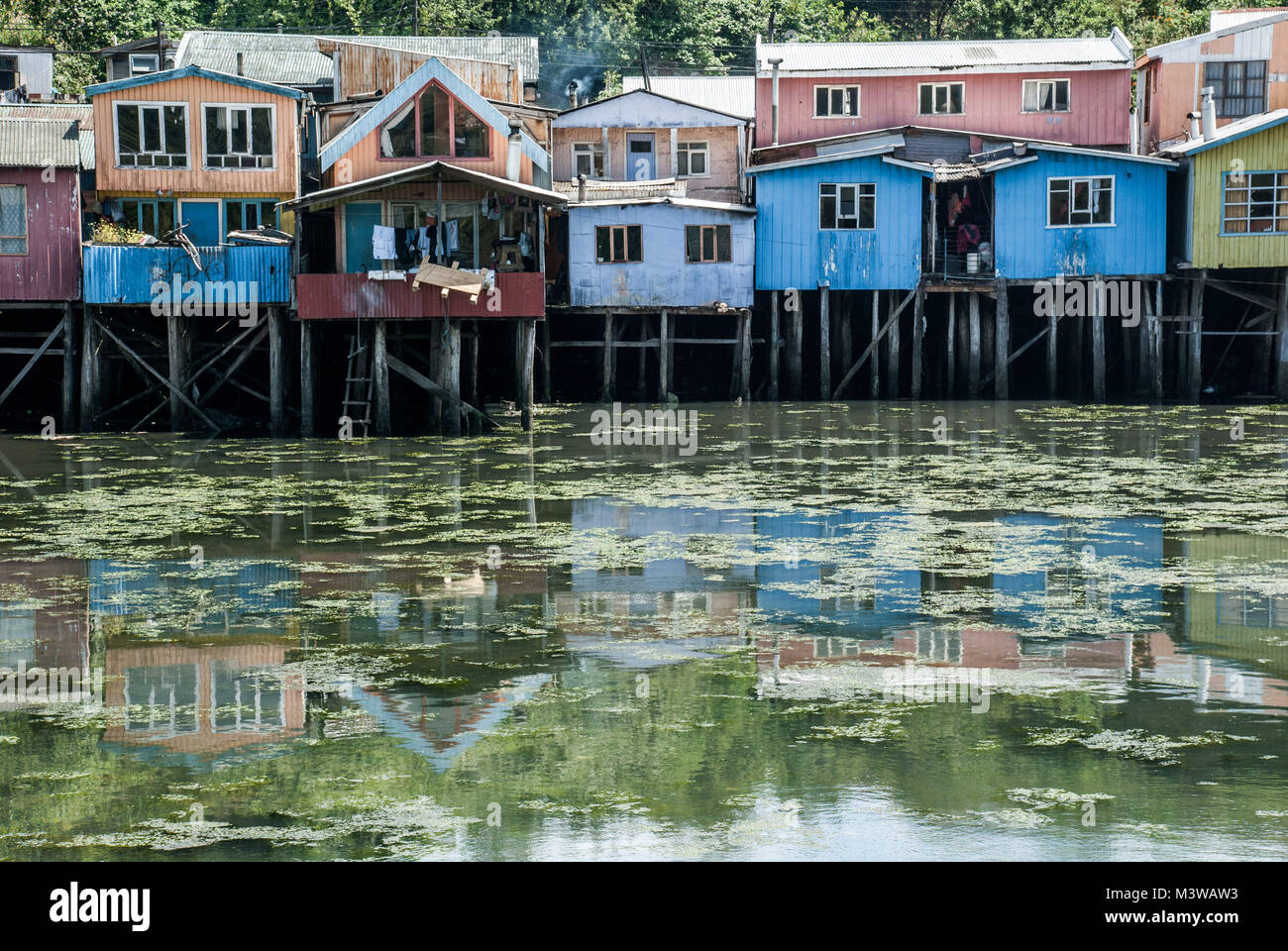 Maisons sur pilotis en bois coloré reflété dans l'eau sur l'île de Chiloé, Chili Banque D'Images