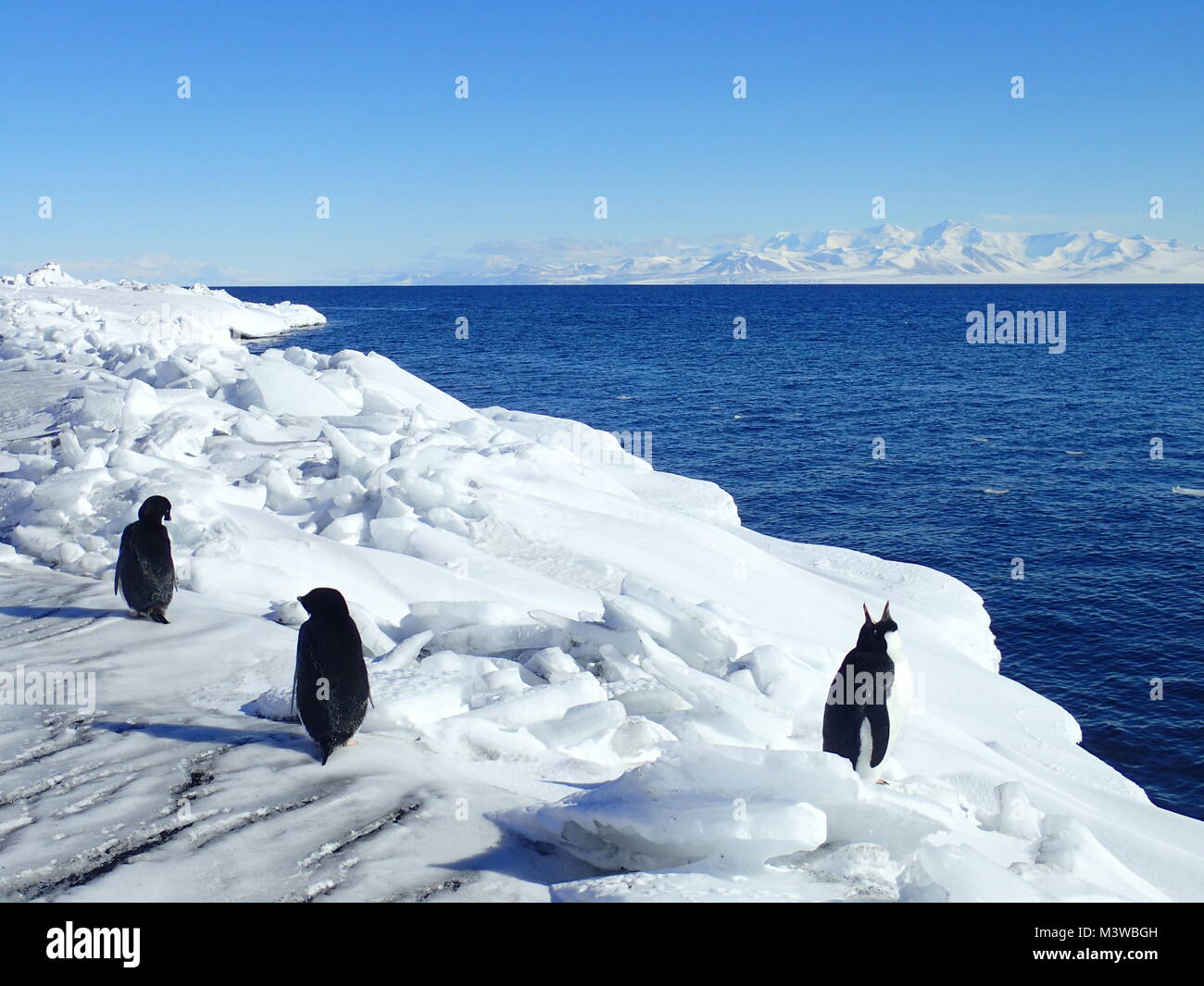 Horizon glacial # 2, de l'Antarctique Banque D'Images