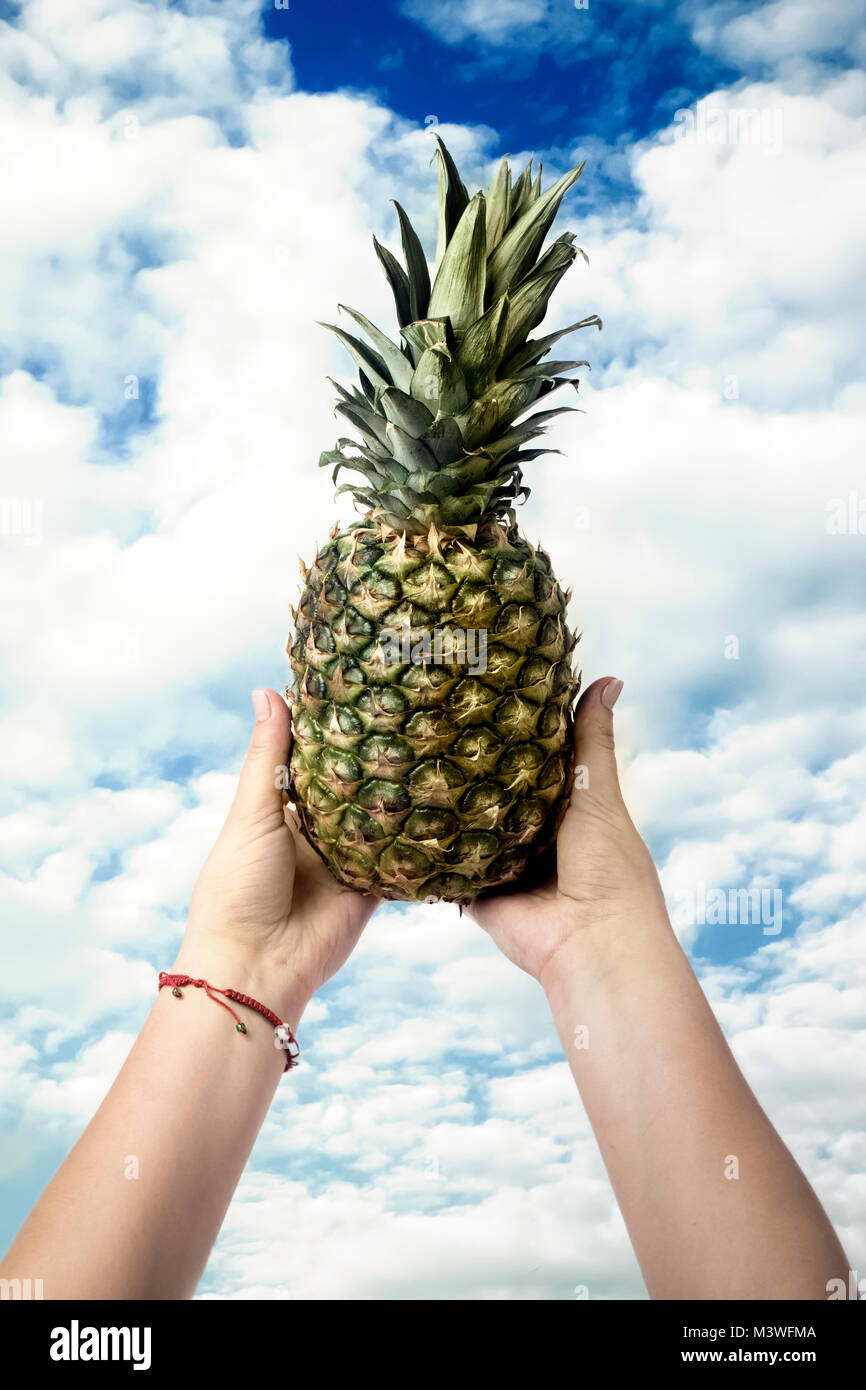 L'ananas dans les mains contre le ciel bleu Banque D'Images