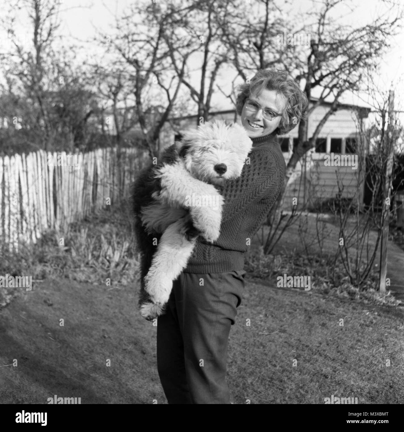 Jeune dame holding Old English Sheepdog chiot Banque D'Images