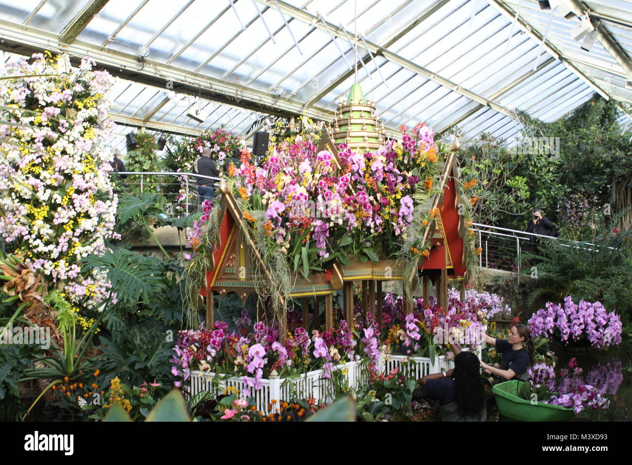 Festival d'orchidées à Kew Gardens Londres 2018 Banque D'Images