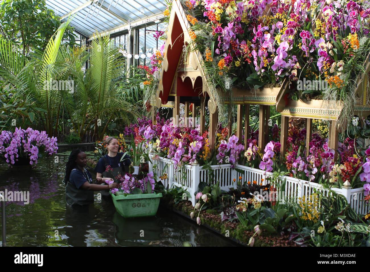 Festival d'orchidées à Kew Gardens Londres 2018 Banque D'Images