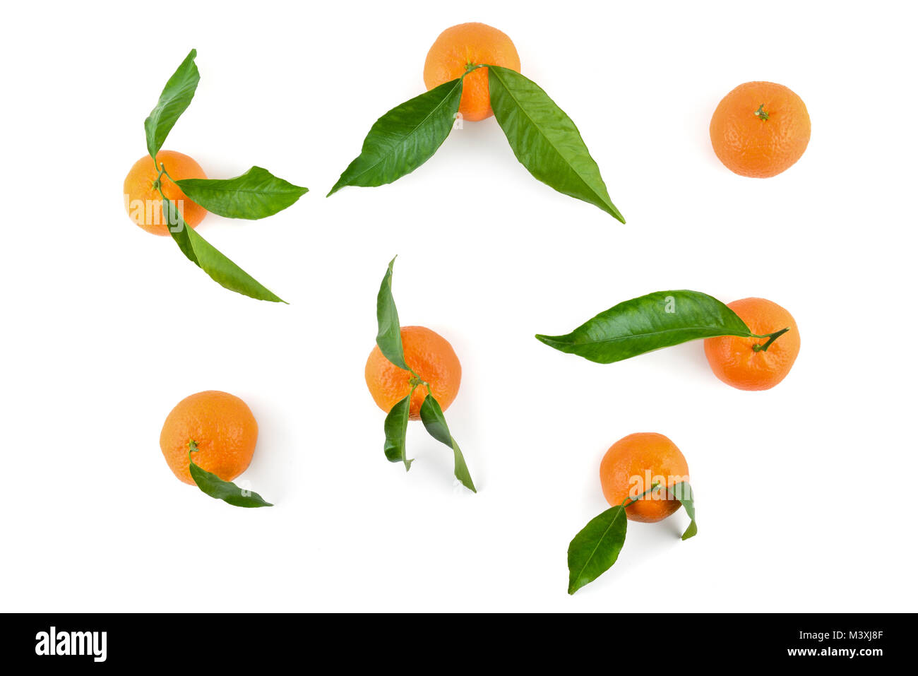 Vue de dessus de mandarines ou d'oranges avec des feuilles pour la disposition isolé sur fond blanc. Banque D'Images