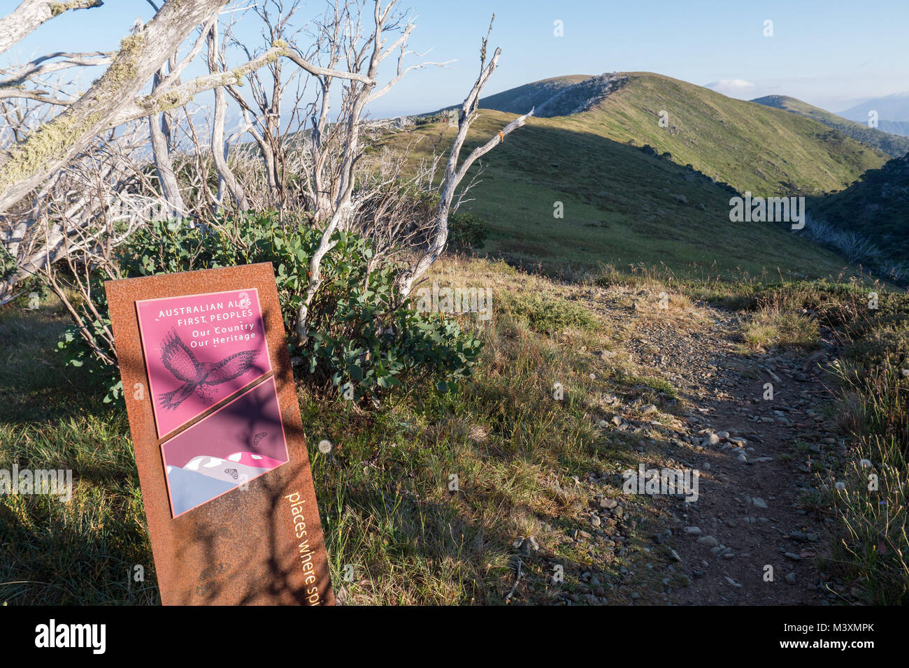 Mt Actaeon trail signe en début de trail représentant un grand aigle australien et décrivant le terrain faisait partie des terres autochtones. Banque D'Images