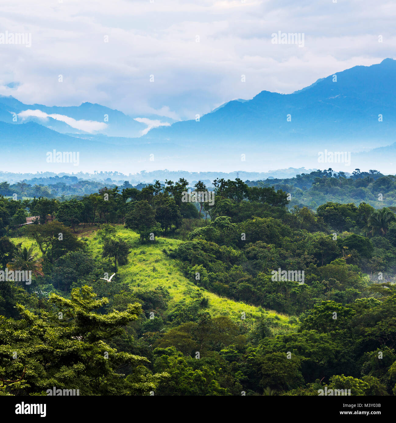 Paysage avec des montagnes pittoresques de la jungle à l'horizon au Chiapas, Mexique Banque D'Images