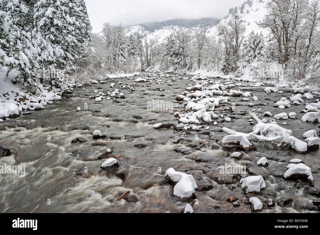 États-unis, Colorado, Montagnes Rocheuses, Front Range, Roosevelt National Forest, le canyon de la rivière cache la poudre en hiver après une tempête Banque D'Images
