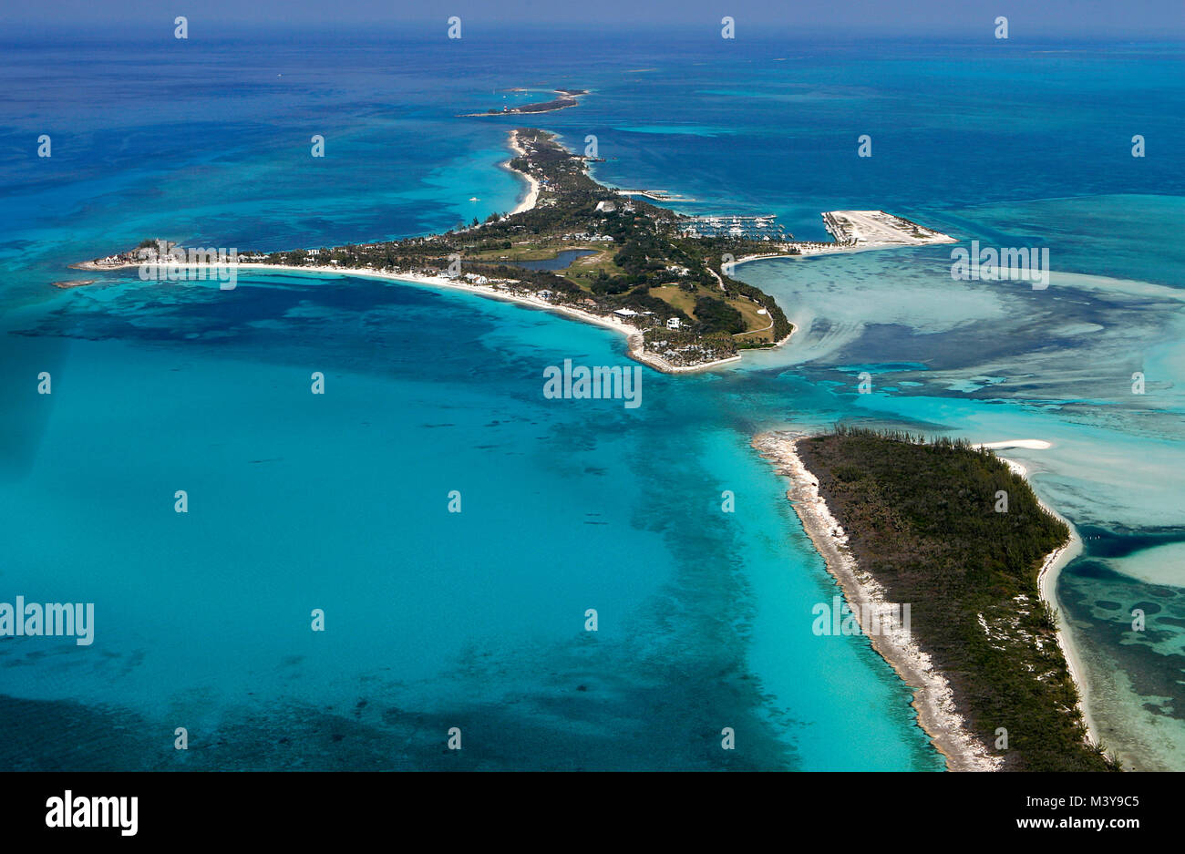 Chat cay Banque de photographies et d’images à haute résolution Alamy