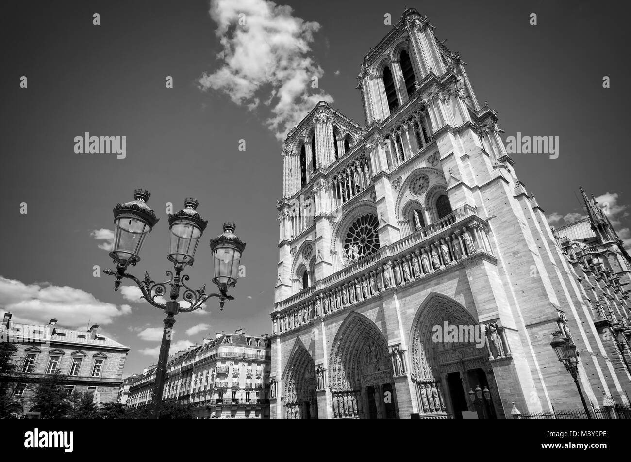 Notre Dame de Paris en noir et blanc, France Banque D'Images