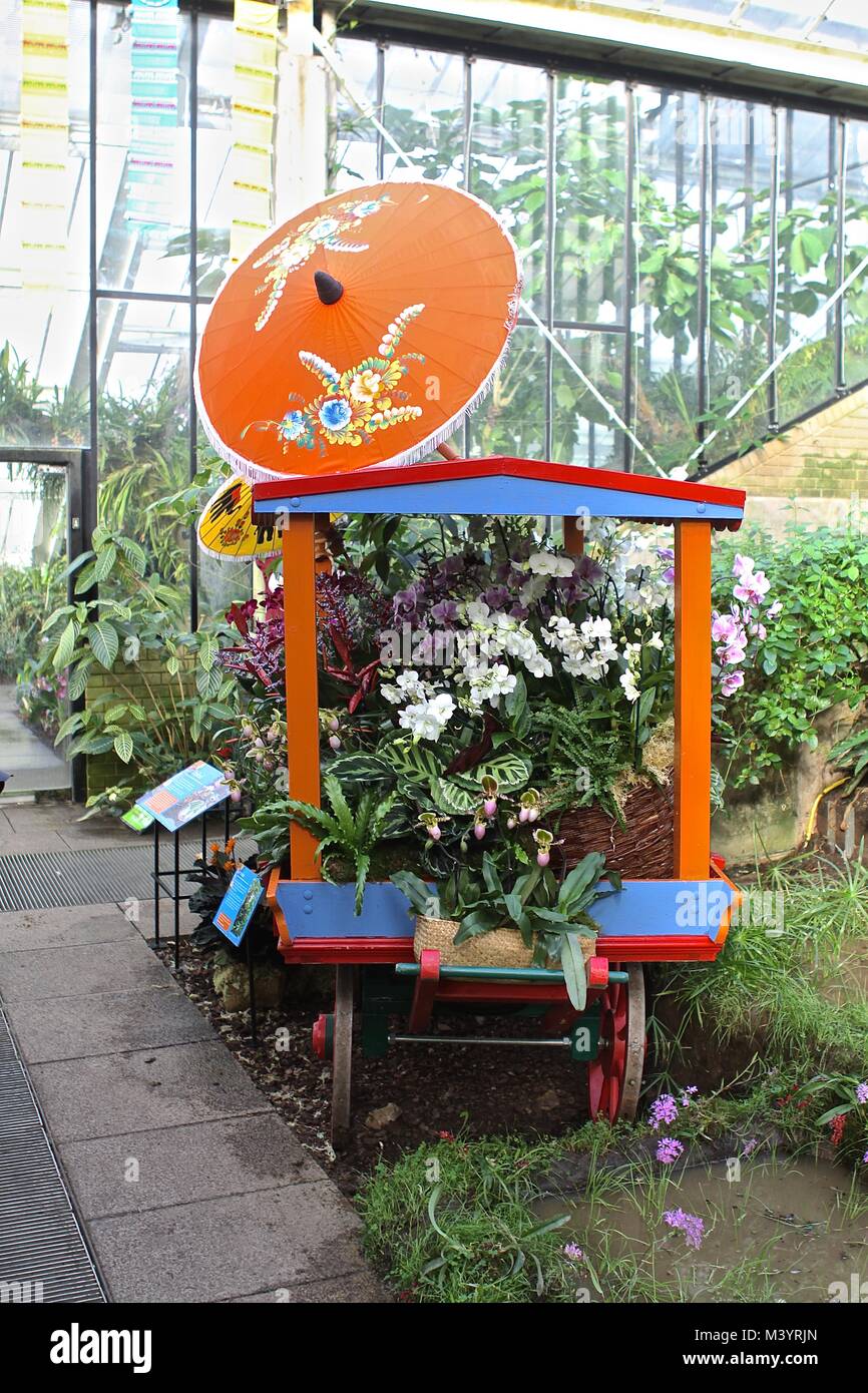 Festival d'orchidées à Kew Gardens Londres 2018 Banque D'Images